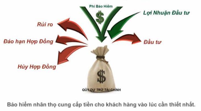 Bảo hiểm nhân thọ là gì? Lợi ích mà nó mang lại