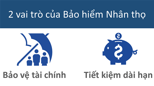 Các gói bảo hiểm nhân thọ hiện nay