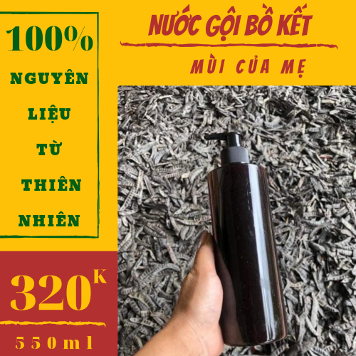 Nước gội đầu thảo dược bồ kết nhà làm 100% nguyên liệu từ thiên nhiên giúp chăm sóc tóc hiệu quả nhất